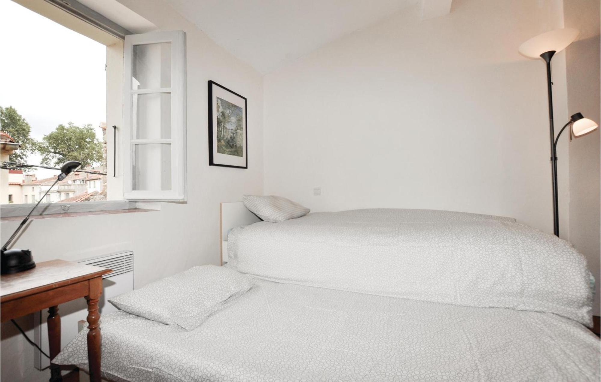 Amazing Home In Ceret With Wifi Esterno foto